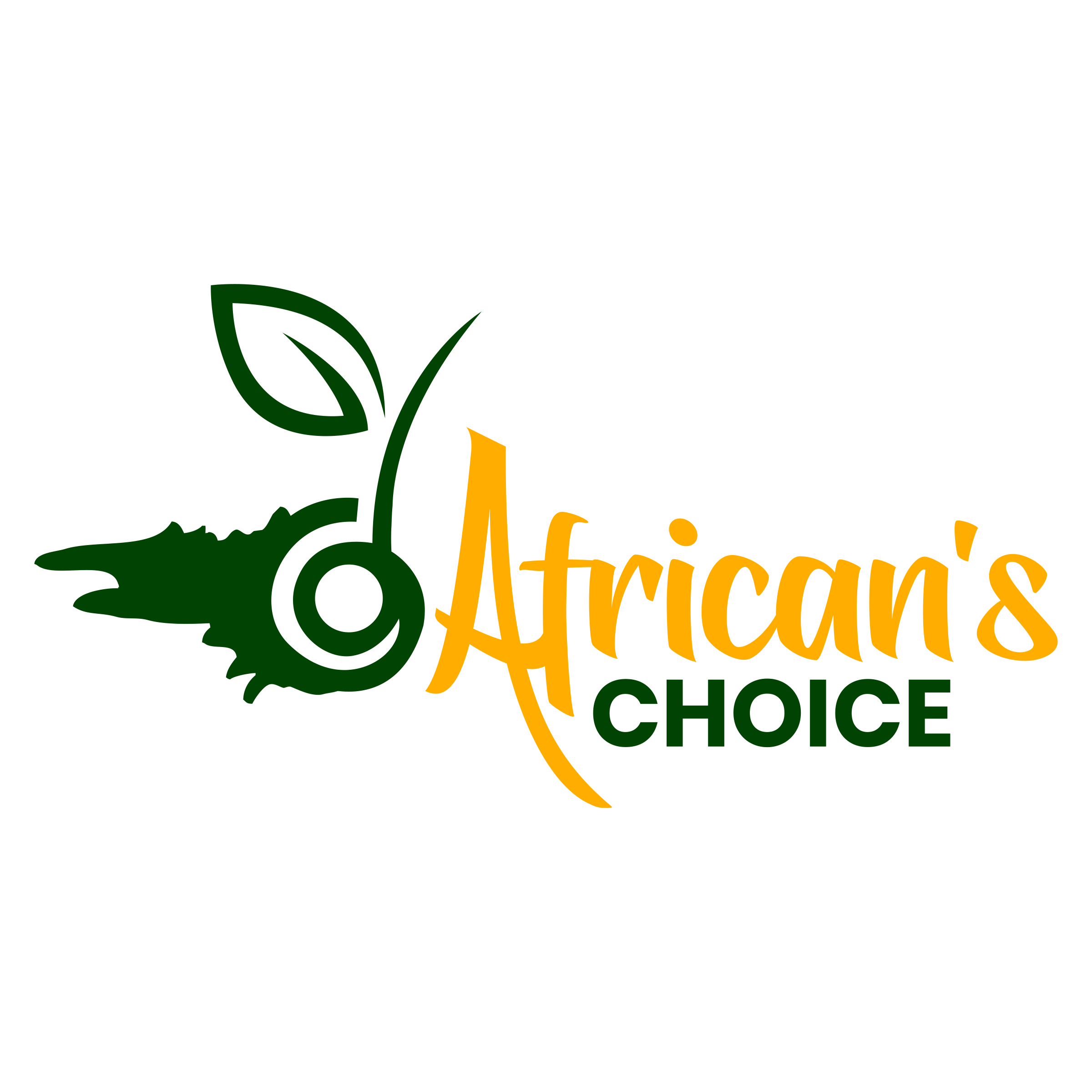 #1 African Grocery Store online